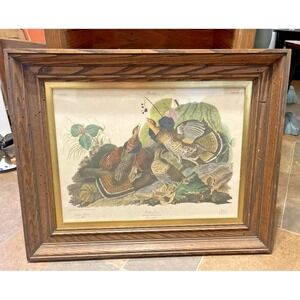 reproduction of original‎ Audubon Print of Dawn from Nature Ruffle Grouse